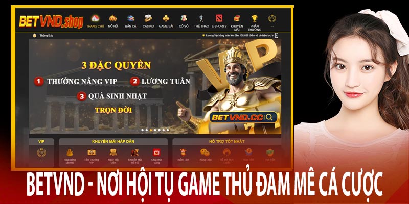 BetVND - Nơi hội tụ game thủ đam mê cá cược